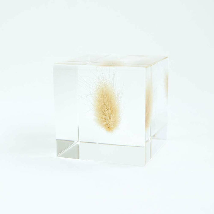 Bunny Tail Grass Cube