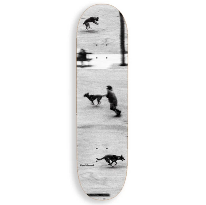 Dog Studies (Paul Grund) Deck