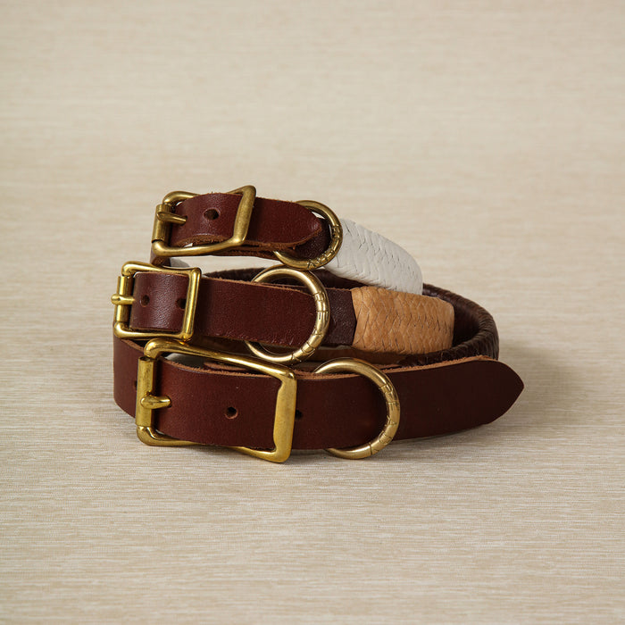 Large Braided Leather Dog Collar