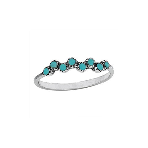 Turquoise & Silver Ring