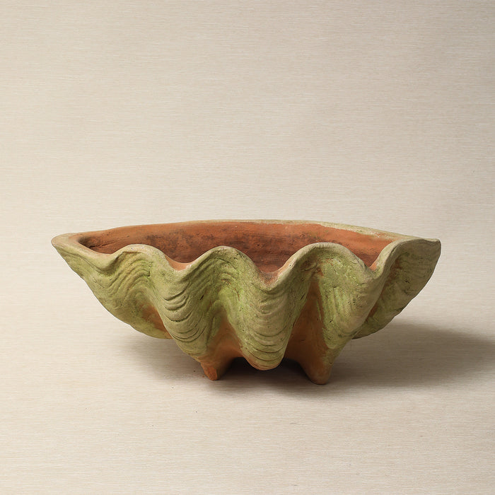 Aged Terracotta Conch Planters