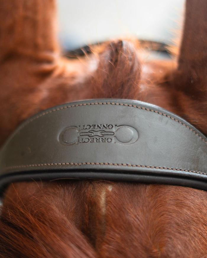 Anatomic Bridle with Crystal Browband