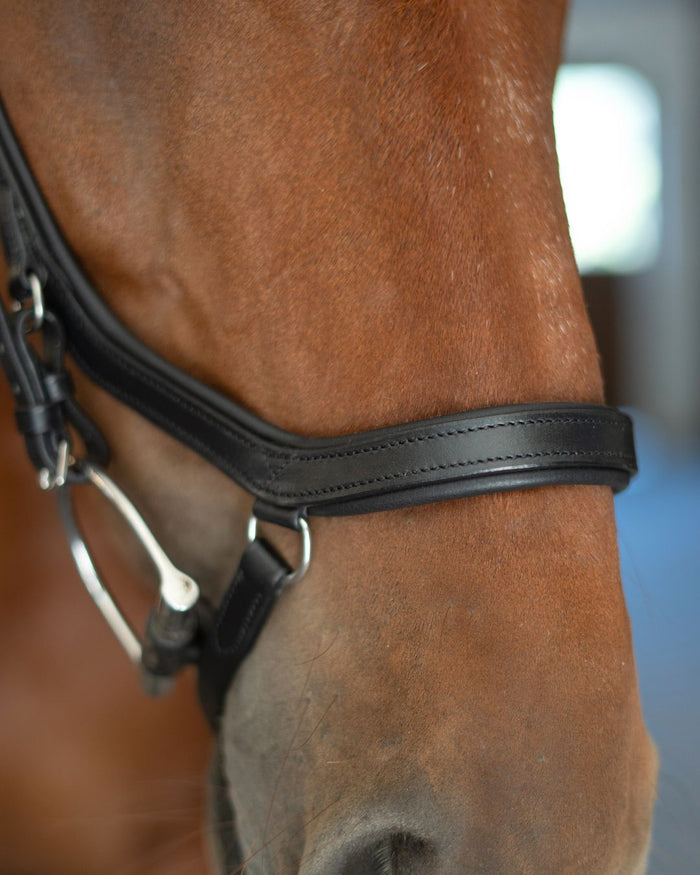Anatomic Bridle with Crystal Browband