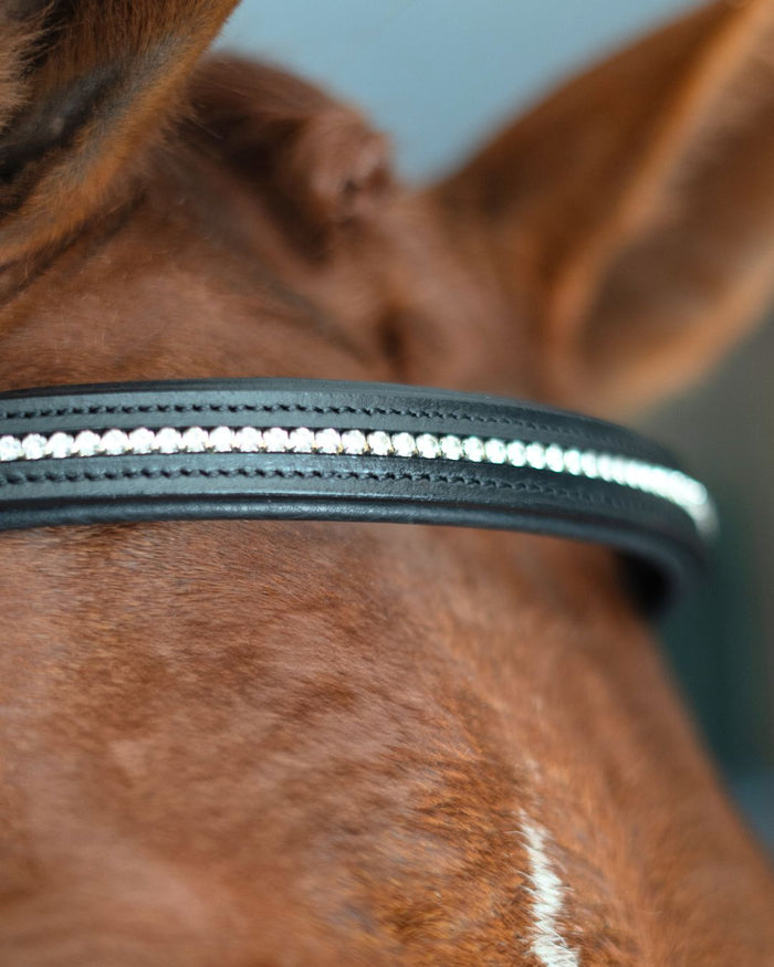 Anatomic Bridle with Crystal Browband