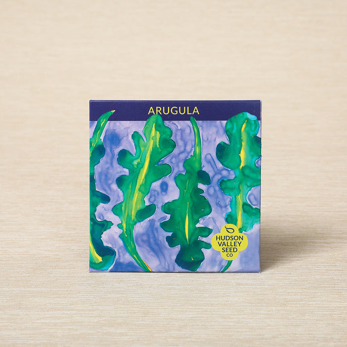 Arugula, 500 seeds