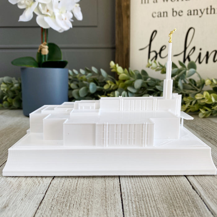 Atlanta Georgia Temple Night Light