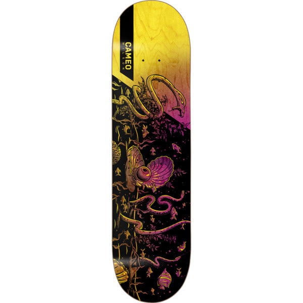 Augmented Reality Cameo Wilson Deck