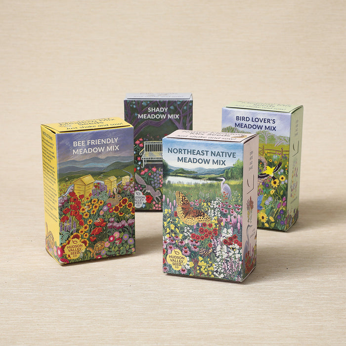Bee Friendly Meadow Mix Seed Shaker