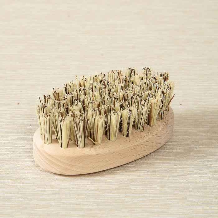 Beech Mussel Brush