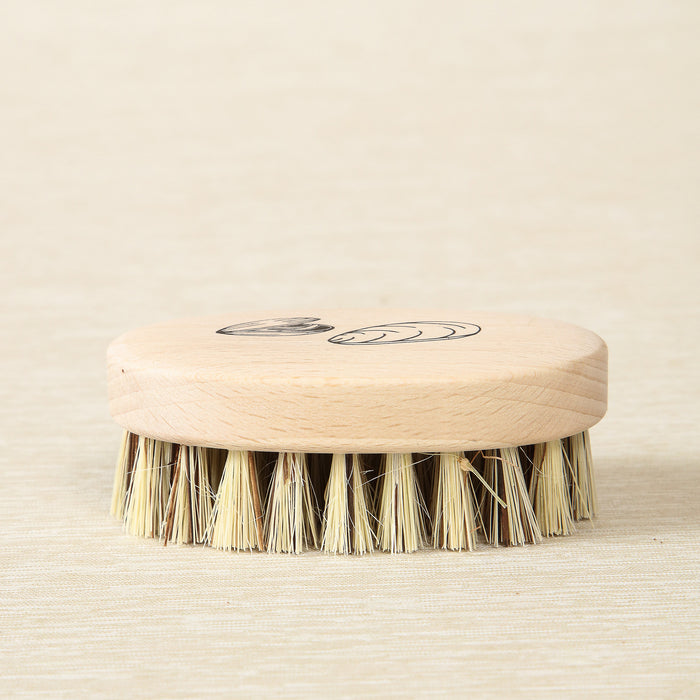 Beech Mussel Brush