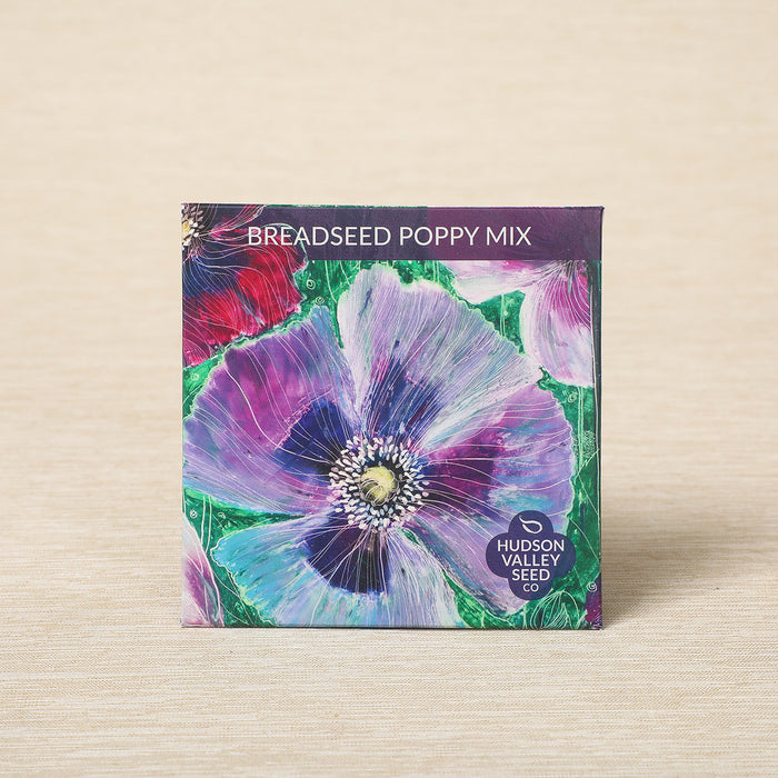 Breadseed Poppy