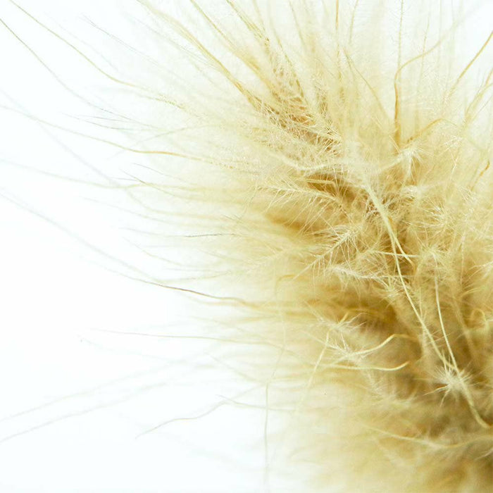 Bunny Tail Grass Cube