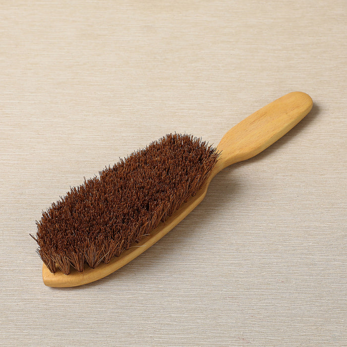 Carpet brush