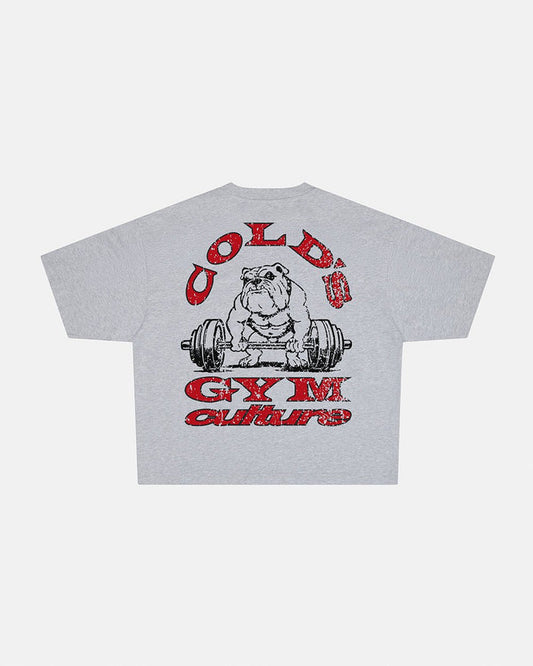 COLD´S GYM BOXY TEE GREY - grey boxy tee, back view - Cold Culture