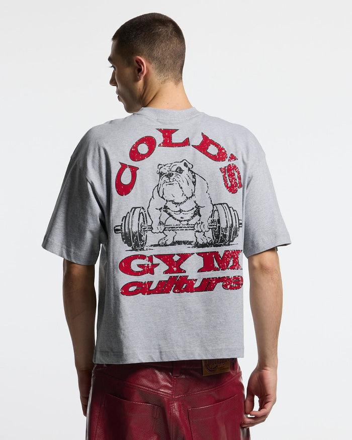 COLD´S GYM BOXY TEE GREY - grey boxy tee, back view on male model - Cold Culture #man