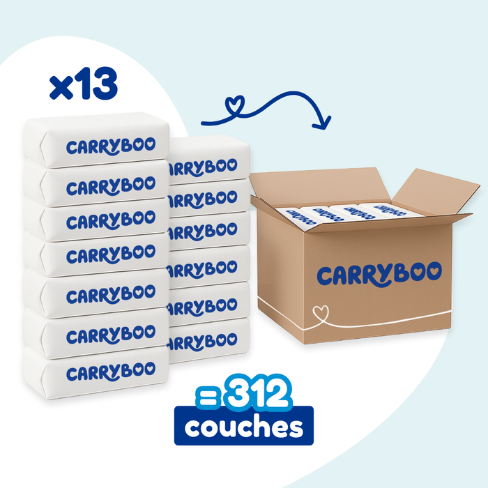 Couches Bébé Carryboo De Nos Régions - Taille 1 ECO+