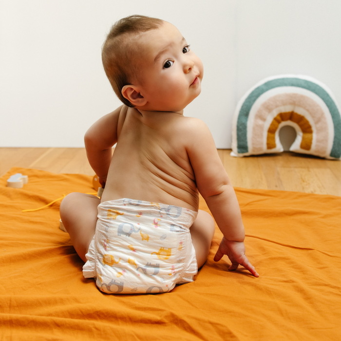 Couches Bébé Écologiques Carryboo Nature - Taille 2