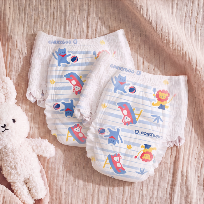 Couches Culottes Absorbantes Carryboo de nos régions