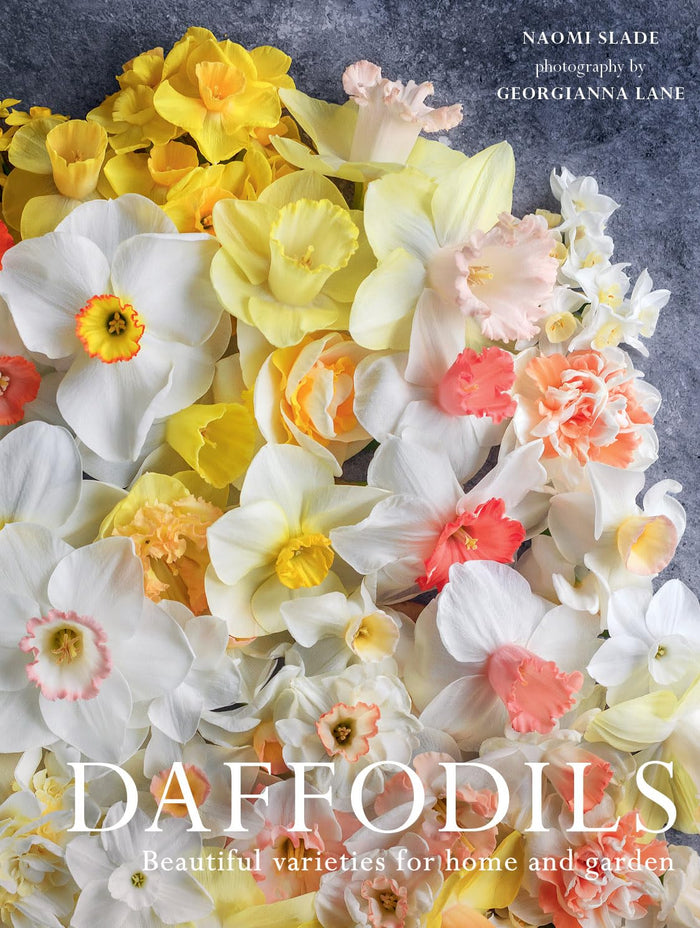 Book cover featuring a collage of daffodils with the title 'Daffodils' by Naomi Slade and Georgianna Lane.