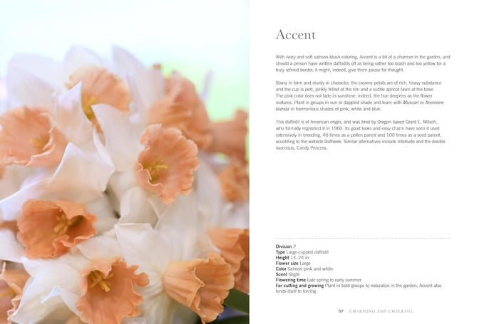 Close-up of peach and white flowers with text on a white background