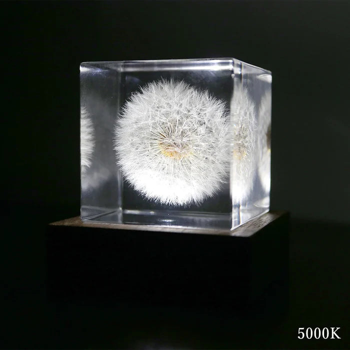 Dandelion - Large