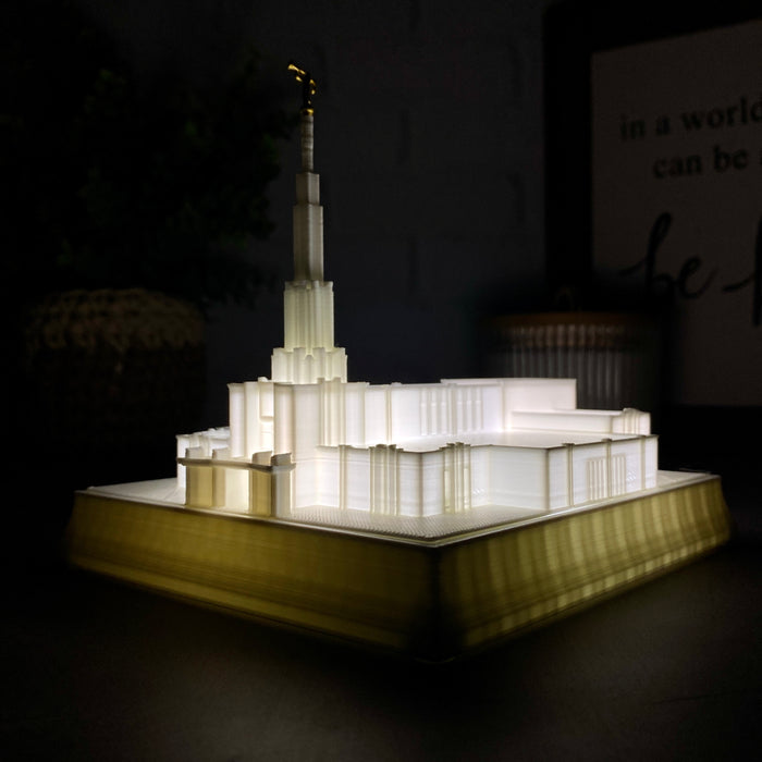 Denver Colorado Temple Night Light