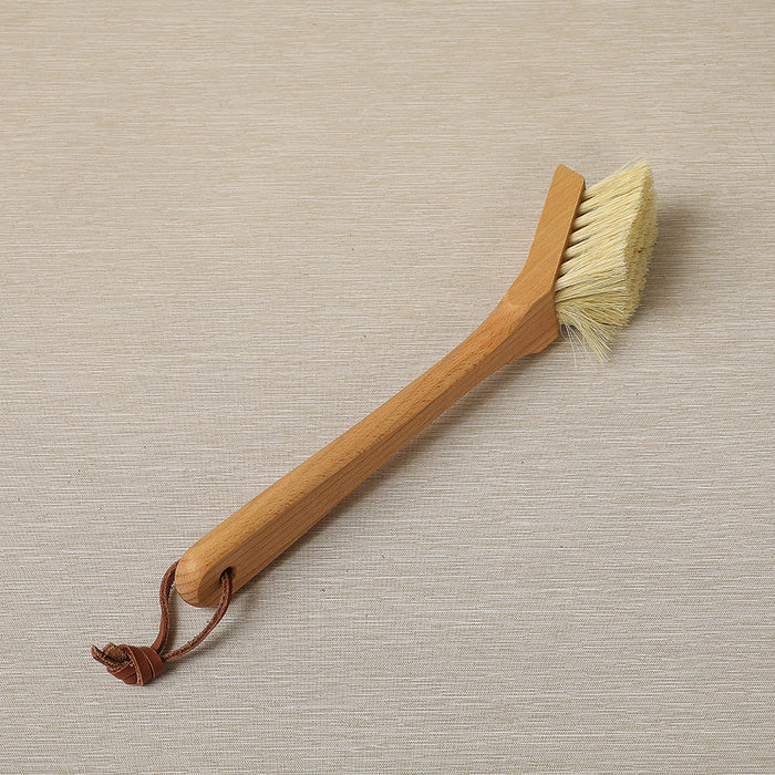 Dish brush with scraper