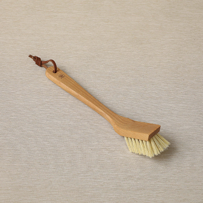 Dish brush with scraper