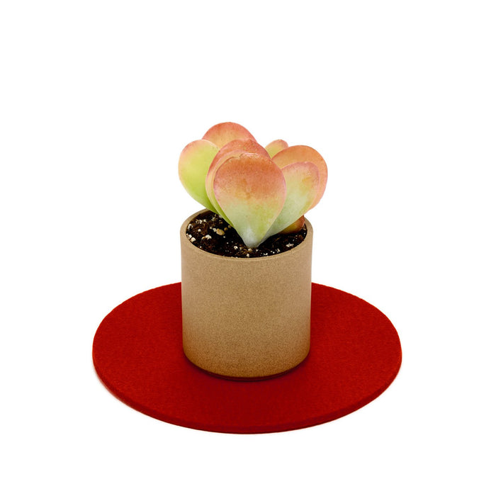 Felt Trivet 8" - Red