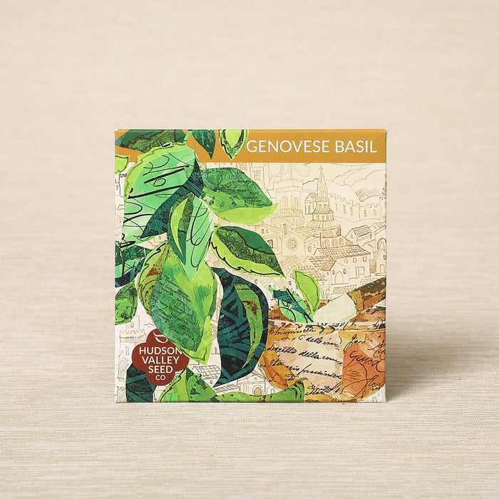 Genovese basil, 250 seeds
