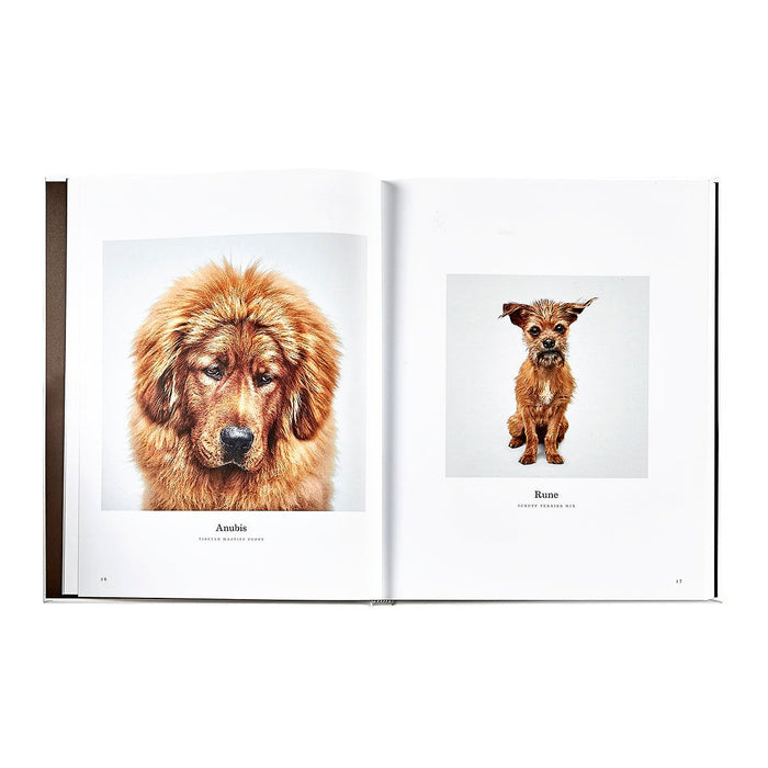 Open book showing two images of dogs with names underneath on a white background