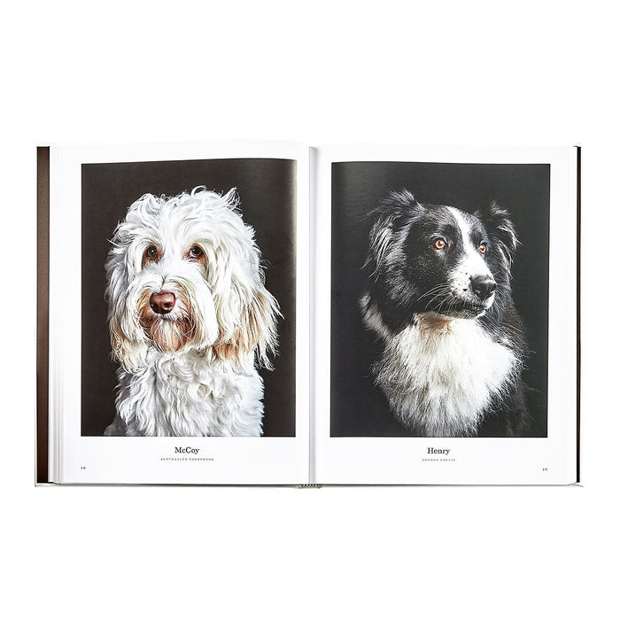 Open book showing portraits of two dogs, McCay and Henry, on a white background.