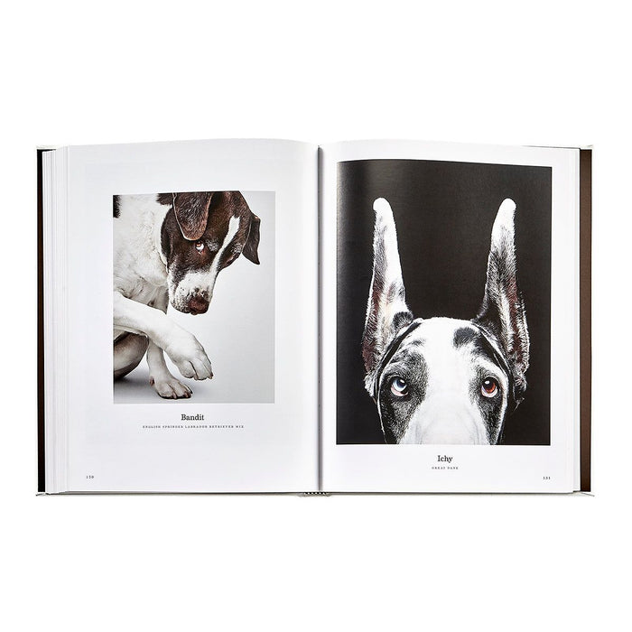 Open book showing black and white photos of dogs on a white background
