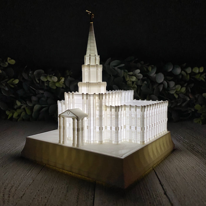 Houston Texas Temple Night Light