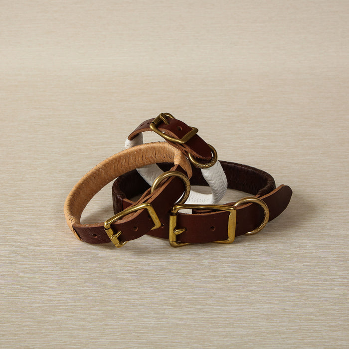 Large Braided Leather Dog Collar