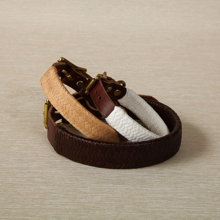 Large Braided Leather Dog Collar