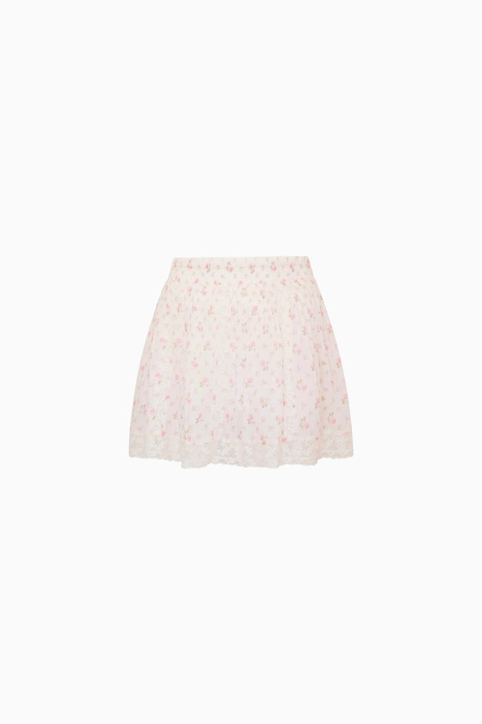 Light pink lace floral skirt on a white background