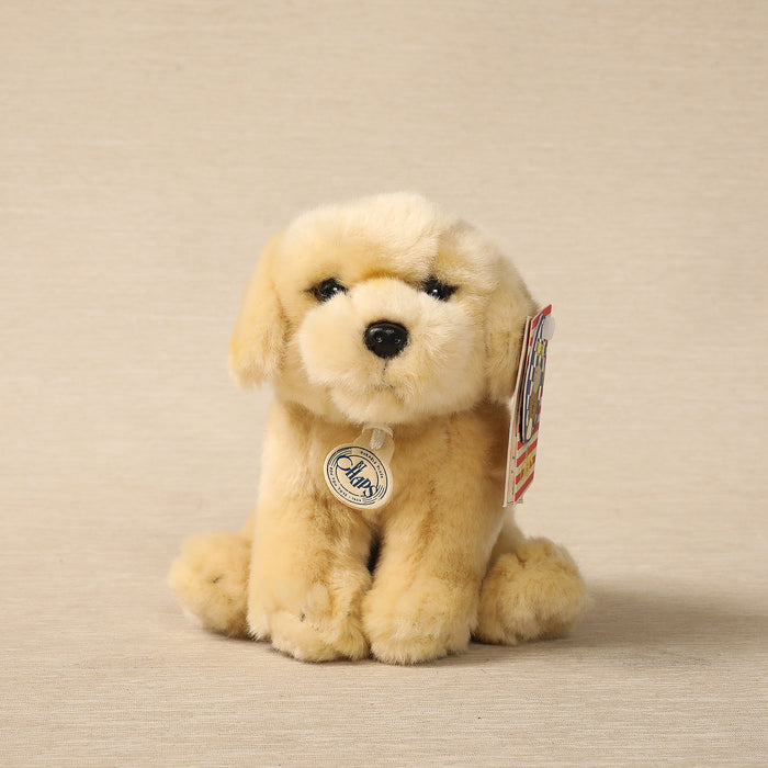 Lou Lou the Labrodor