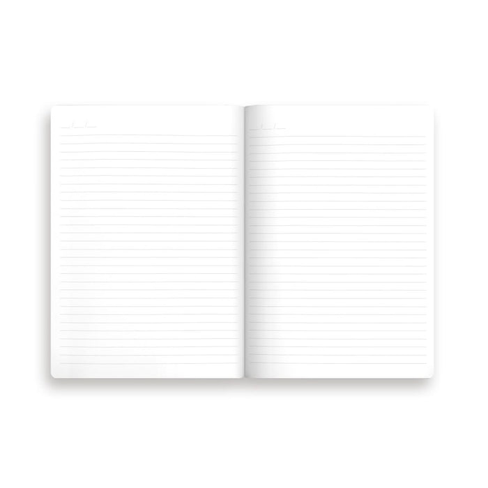 White book on a white background