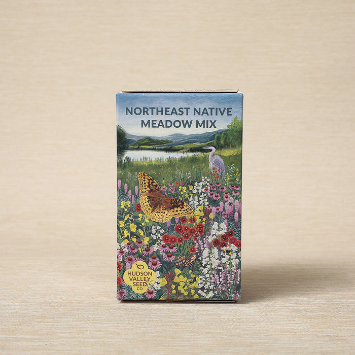 Northeast native meadow mix seed shaker
