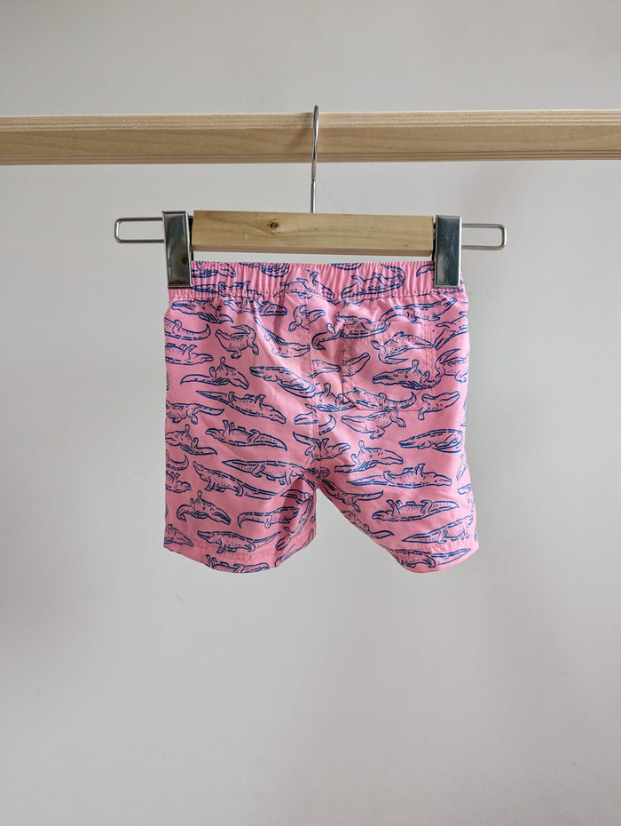 Old Navy Swim Shorts (12-18M)