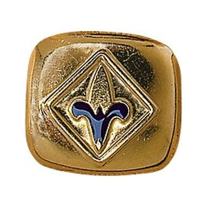 Slide Neckerchief  CS Webelos