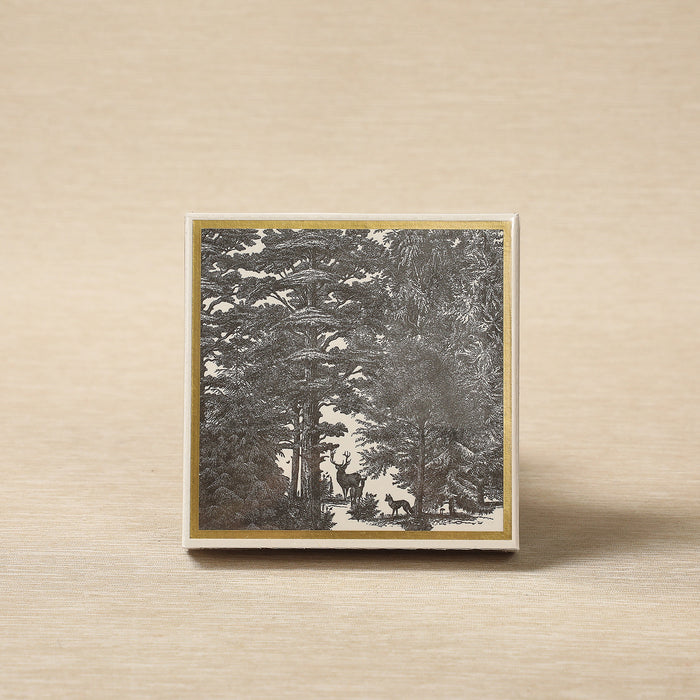 Square Boxed Safety Matches