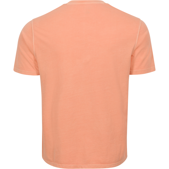 APRICOT