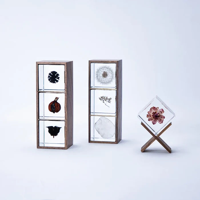Wooden Box for 3 Sola Cubes