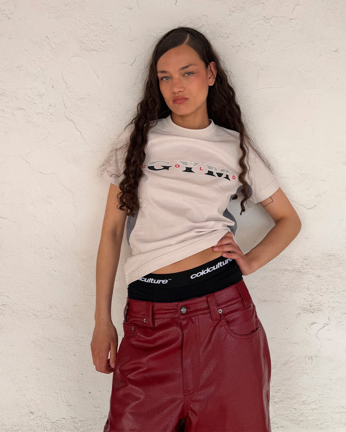 WORK HARD TEE WHITE - off-white mesh panel tee, front view on female model - Cold Culture