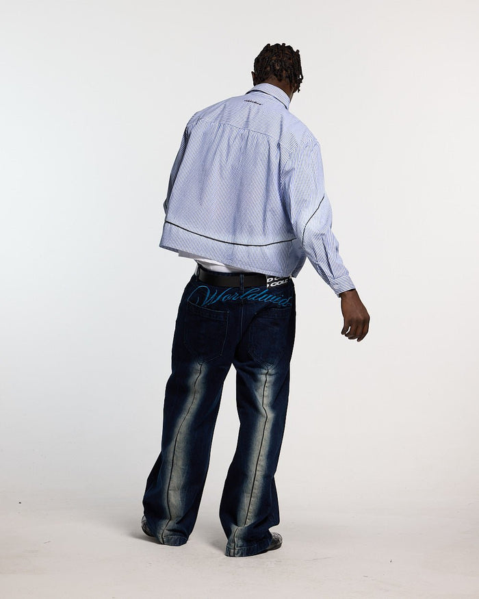 WORLDWIDE LONGSLEEVE SHIRT BLUE & WHITE - blue striped button-up shirt, back view on male model - Cold Culture #man
